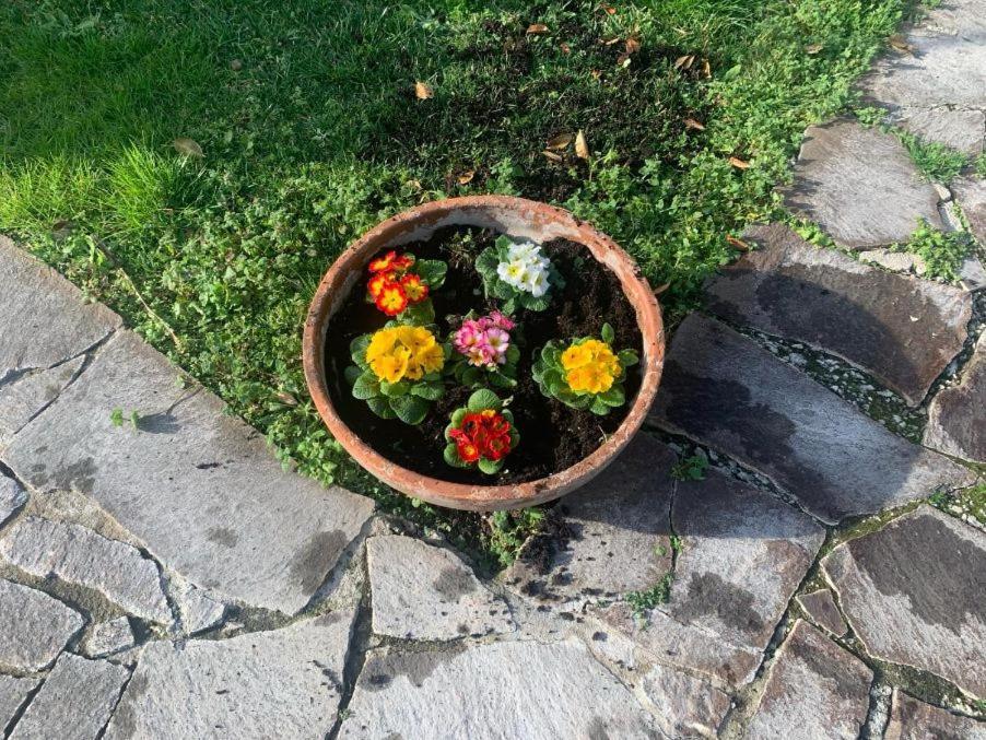 Leupupe Relax Cultura Mare Monti Daire Cascina Dış mekan fotoğraf