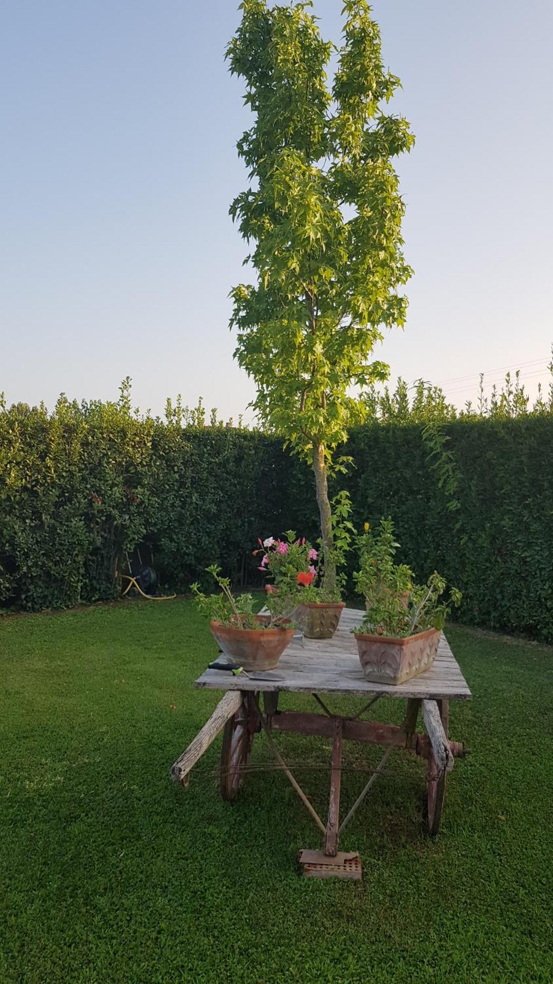 Leupupe Relax Cultura Mare Monti Daire Cascina Dış mekan fotoğraf